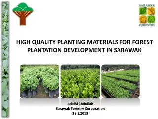 HIGH QUALITY PLANTING MATERIALS FOR FOREST PLANTATION DEVELOPMENT IN SARAWAK
