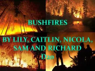 BUSHFIRES BY LILY, CAITLIN, NICOLA, SAM AND RICHARD d20