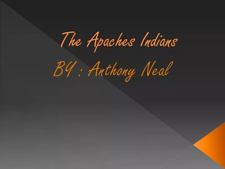 the apaches indians