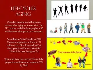 Lifecycles Aging