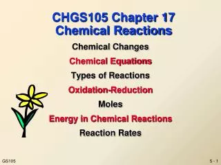 CHGS105 Chapter 17 Chemical Reactions