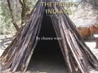 The Paiute Indians