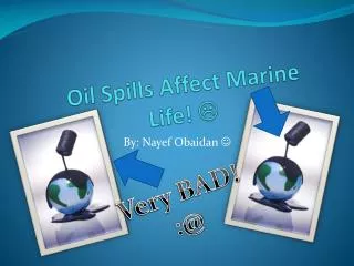 Oil Spills Affect Marine Life! ?
