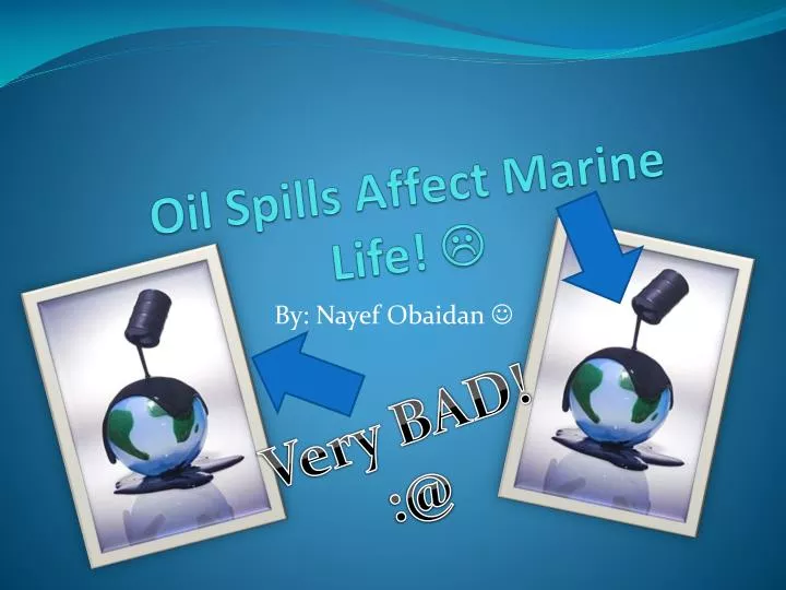 oil spills affect marine life