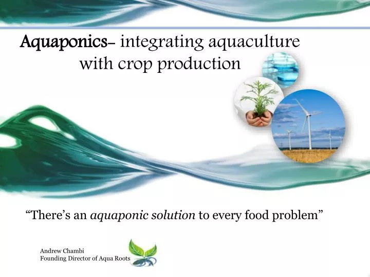 there s an aquaponic solution to every food problem