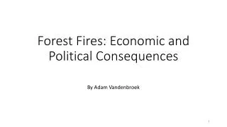 Forest Fires: Economic and Political Consequences