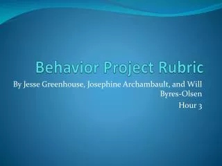 Behavior Project Rubric