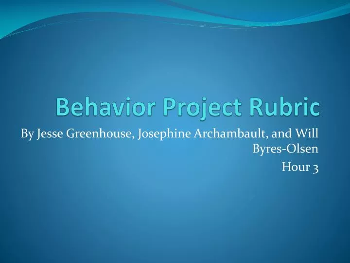 behavior project rubric