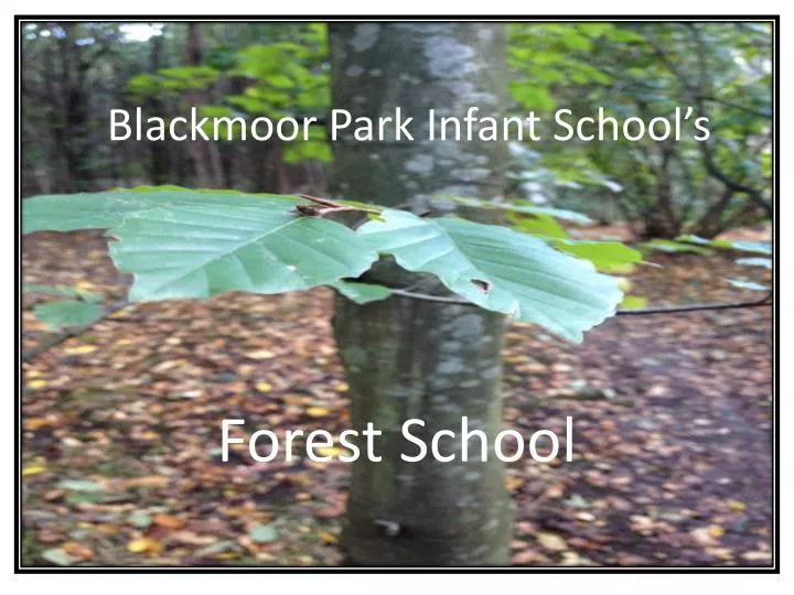 blackmoor park infant school s