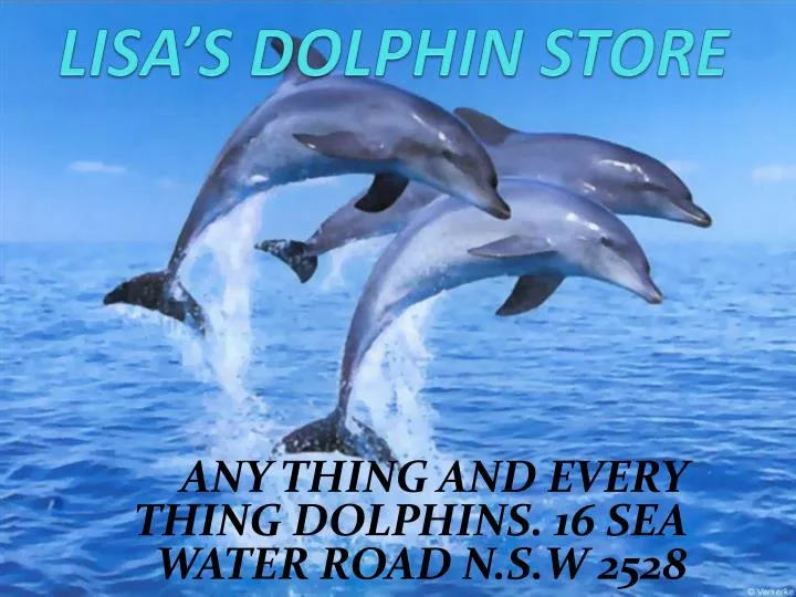 lisa s dolphin store
