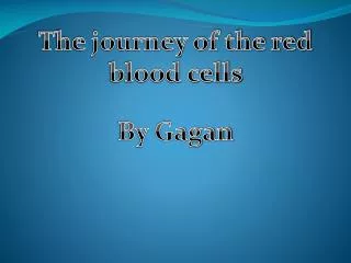 The journey of the red blood cells