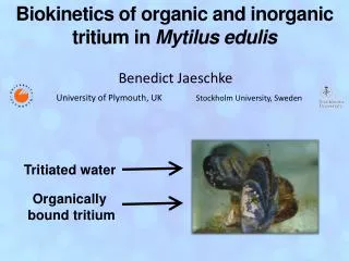 Biokinetics of organic and inorganic tritium in Mytilus edulis