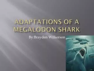 Adaptations of a M egalodon shark