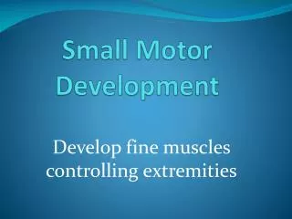 Small Motor Development