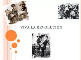 viva la revolucion