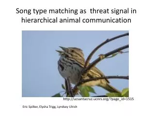 Song type matching as threat signal in hierarchical animal communication