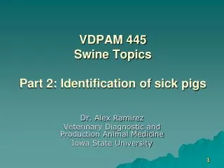 VDPAM 445 Swine Topics Part 2: Identification of sick pigs