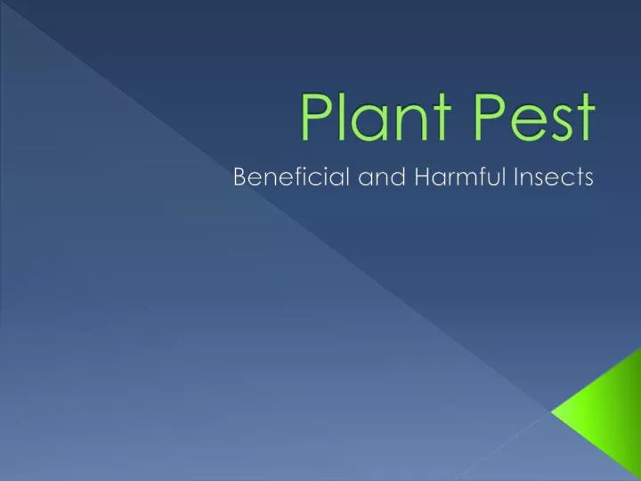 plant pest