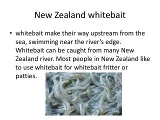 New Zealand whitebait
