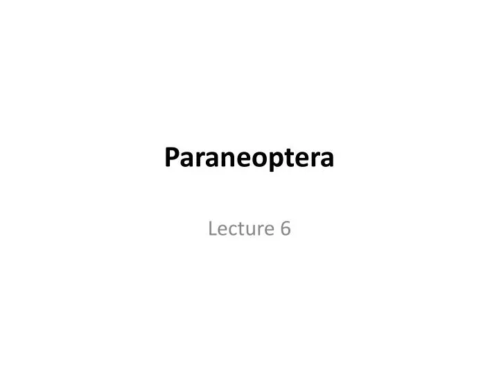 paraneoptera