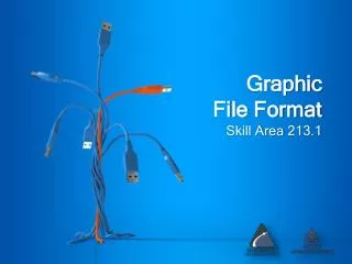 Graphic File Format