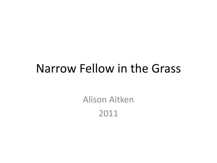 narrow fellow in the grass