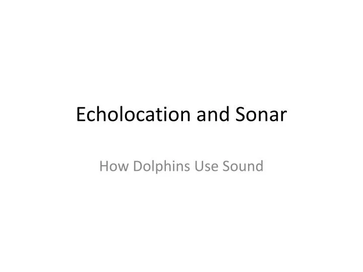 echolocation and sonar