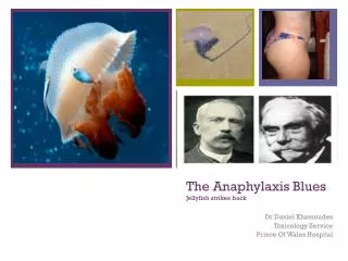 The Anaphylaxis Blues Jellyfish strikes back