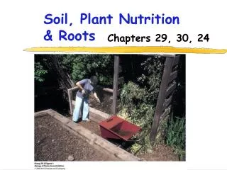 Soil, Plant Nutrition &amp; Roots