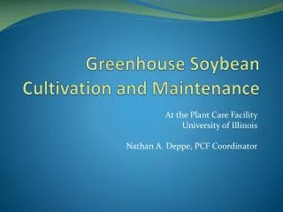 Greenhouse Soybean Cultivation and Maintenance