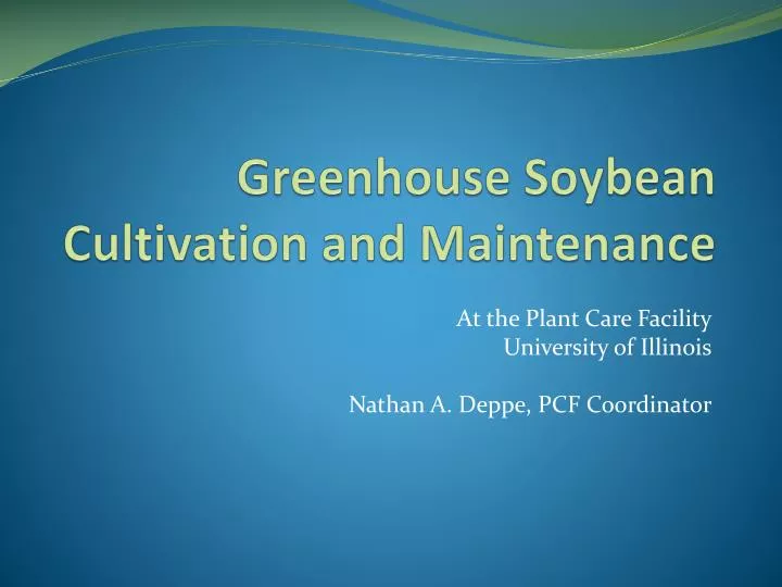 greenhouse soybean cultivation and maintenance