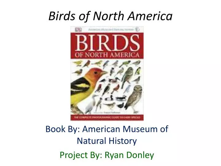 birds of north america