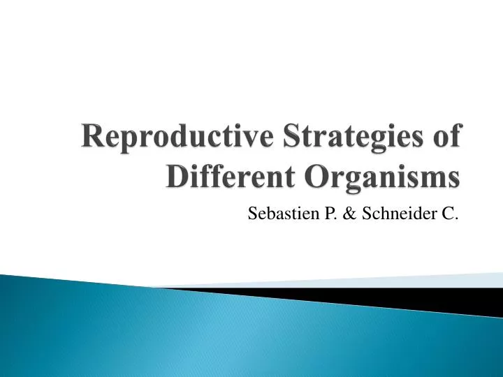 reproductive strategies of different organisms