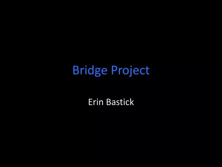 bridge project