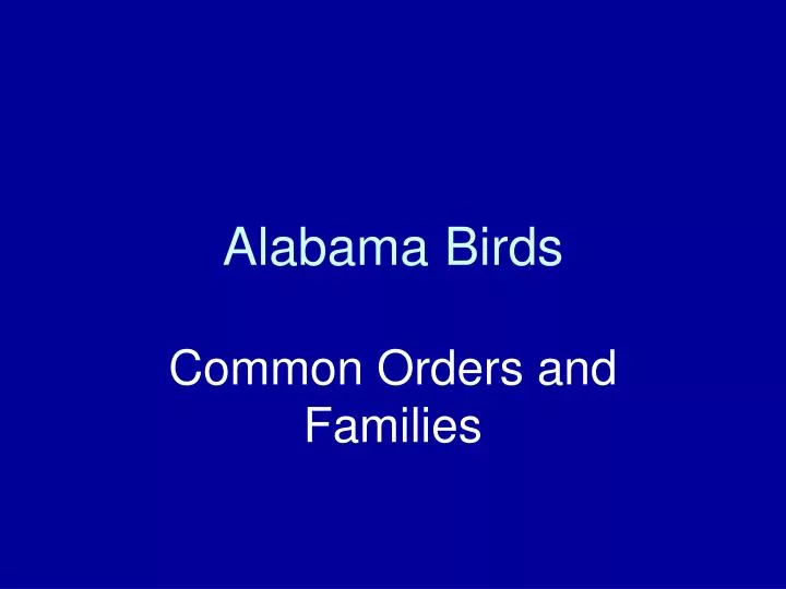 alabama birds