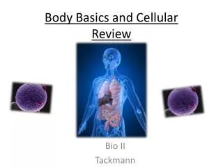 Body Basics and Cellular Review