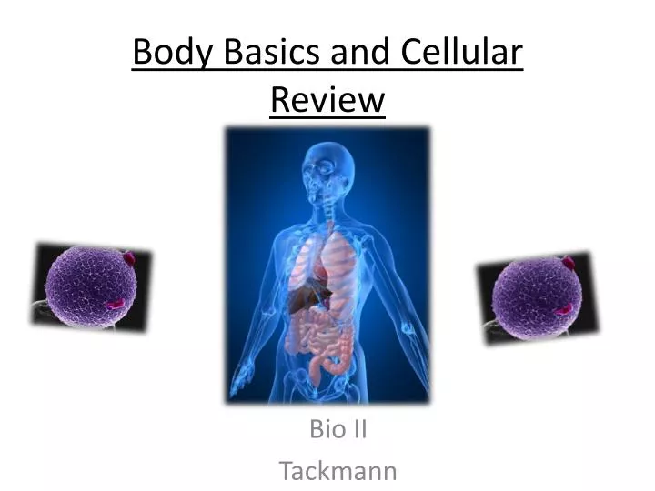 body basics and cellular review