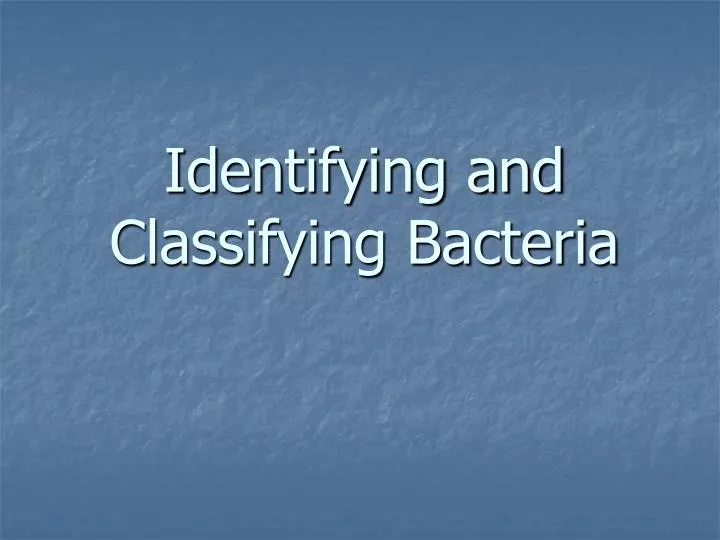identifying and classifying bacteria
