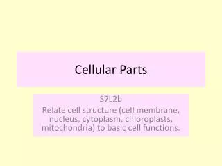 Cellular Parts