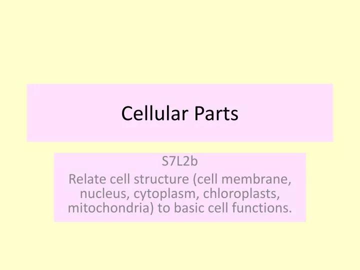 cellular parts