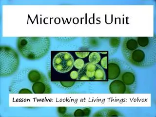 Microworlds Unit