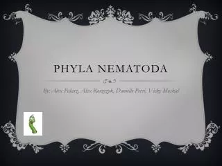 Phyla Nematoda