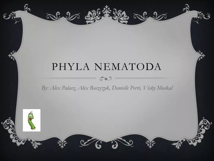 phyla nematoda