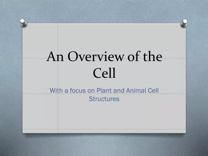 an overview of the cell