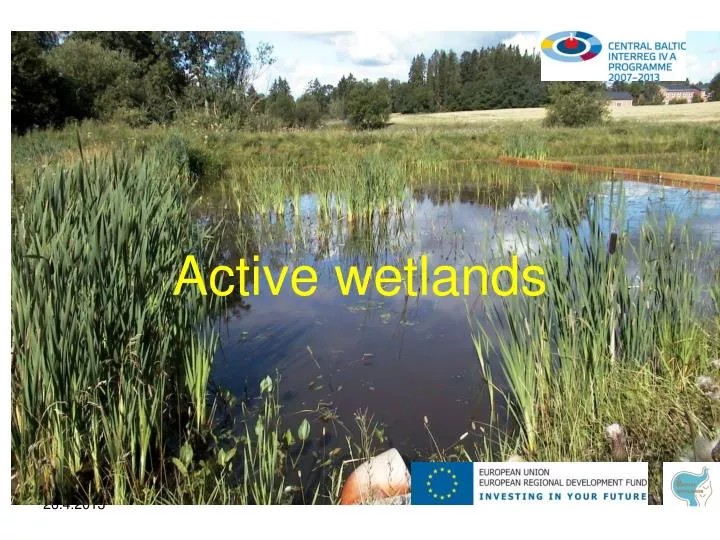 active wetlands