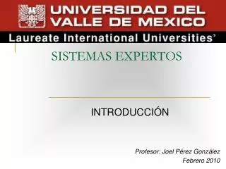 sistemas expertos