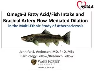 Omega-3 Fatty Acid/Fish Intake and Brachial Artery Flow-Mediated Dilation