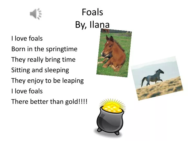 foals by ilana