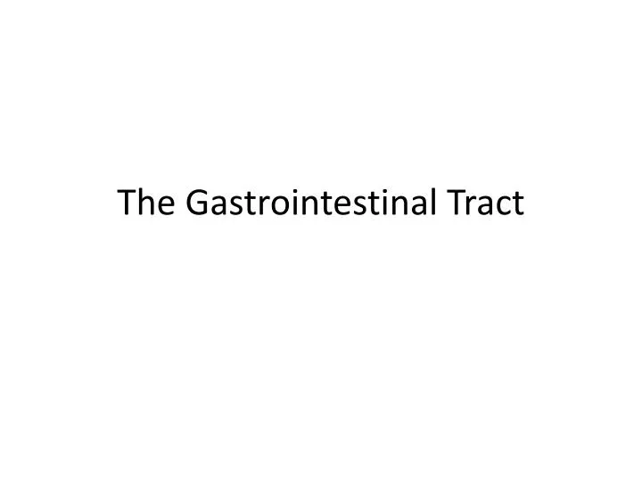 the gastrointestinal tract