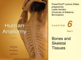 Bones and Skeletal Tissues